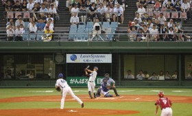 2011 baseball